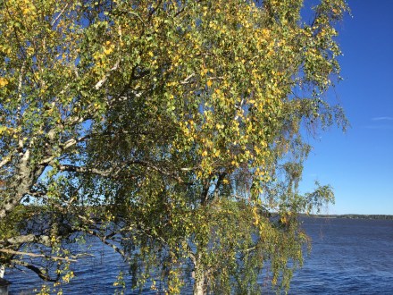 fil-2016-09-30-12-02-10