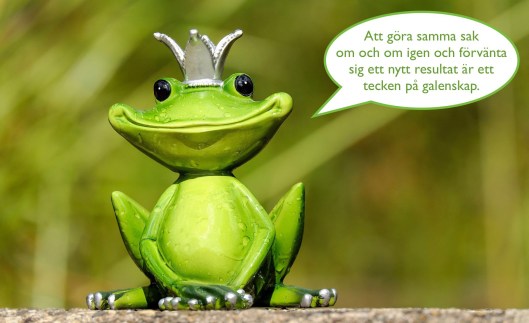 Att göra samma sak om och om igen och förvänta sig ett nytt resultat är ett tecken på galenskap - elinitis.me