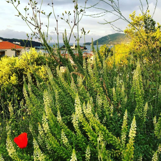 5fd0be60-758b-4390-b2e9-4b154c93cfde