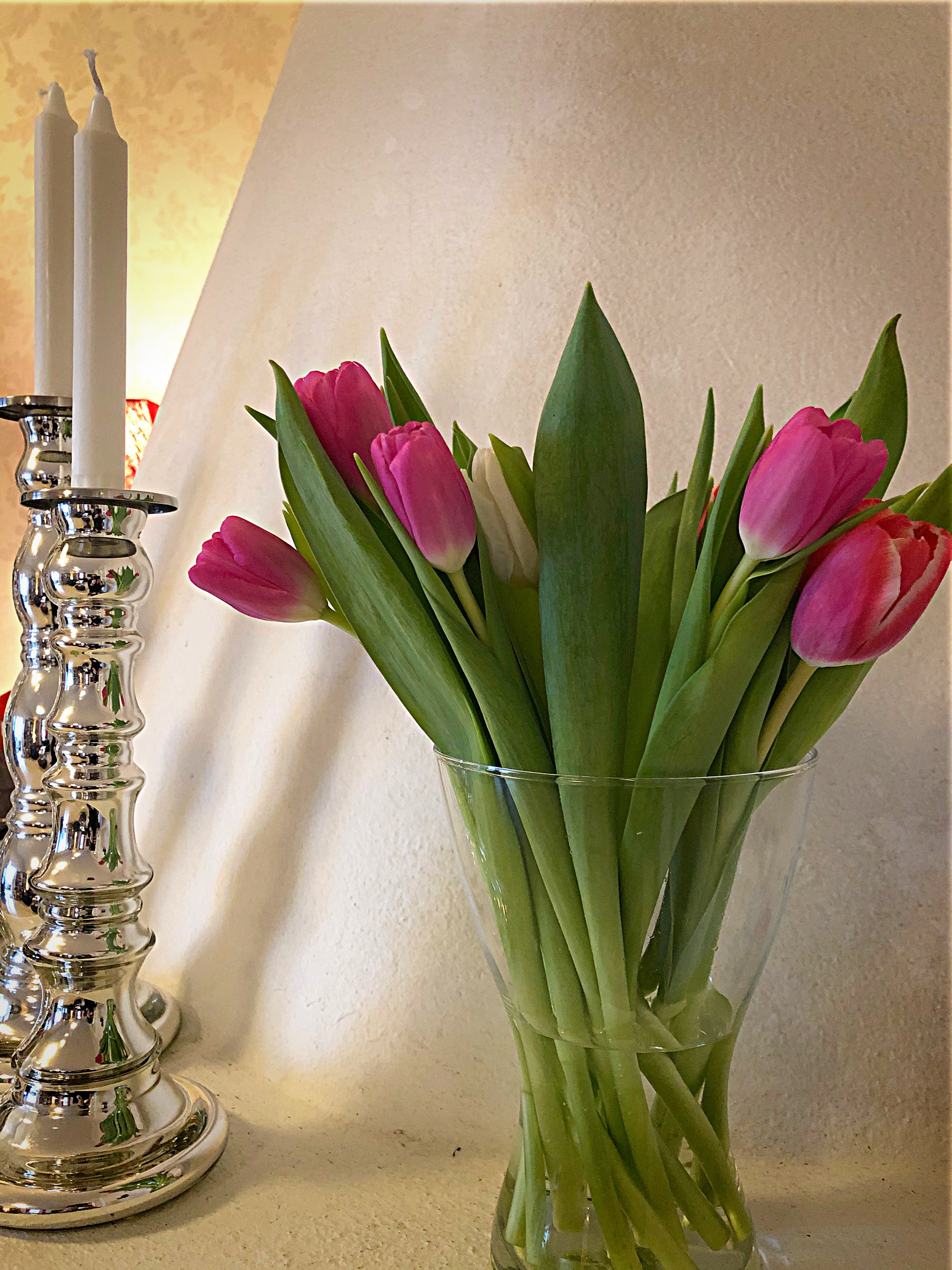 Tulpaner i vas och silvriga ljusstakar