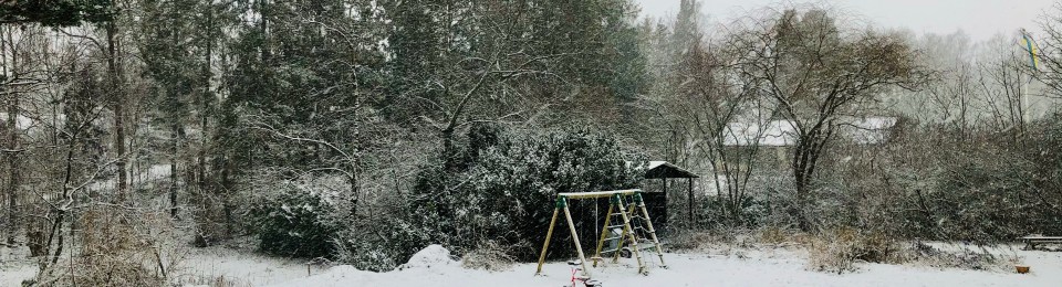 Snötäckt trädgård