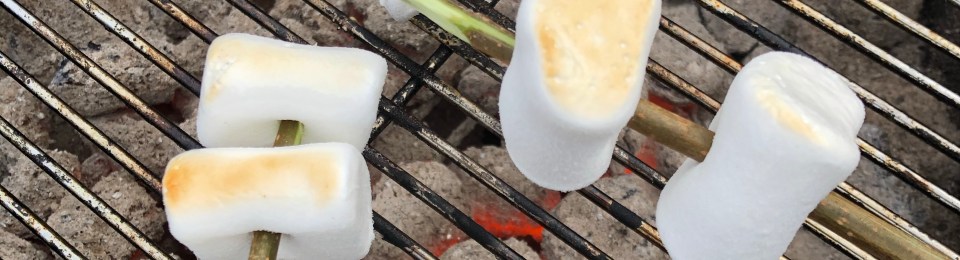Marshmallows på grillpinnar över glöd