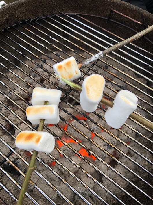Marshmallows på grillpinnar över glöd